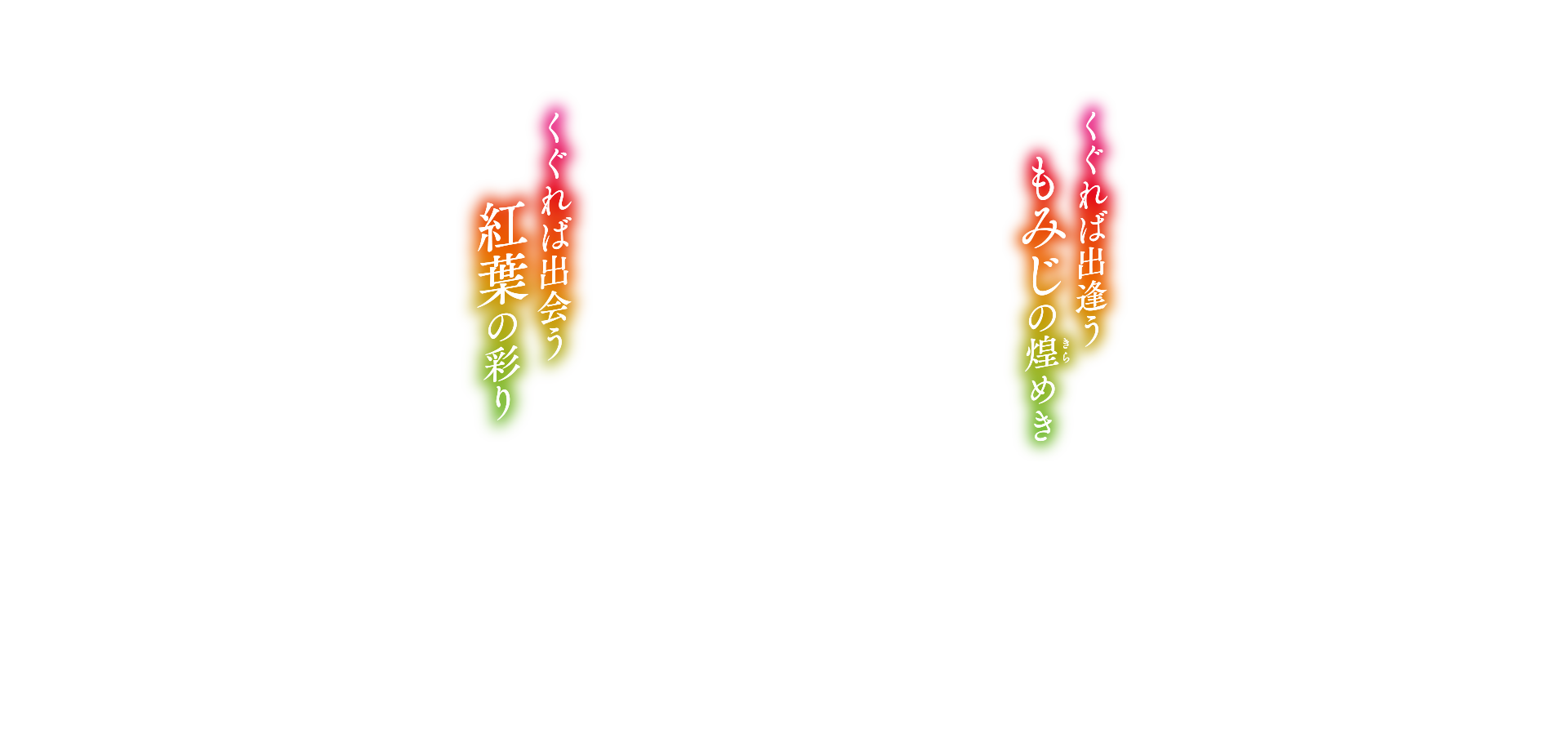 くぐれば出会う紅葉の彩り／くぐれば出会うもみじの煌めき