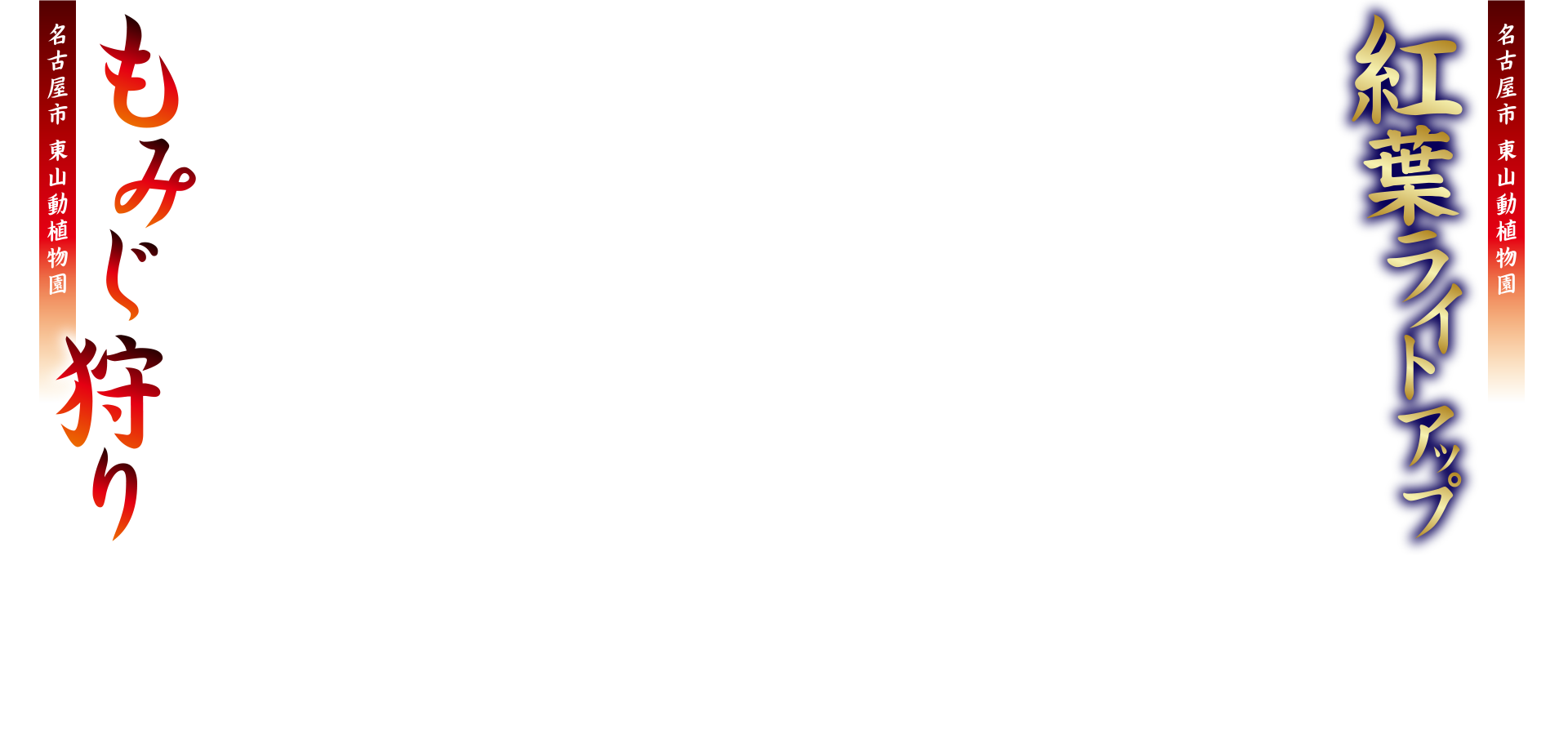 名古屋市 東山動植物園「紅葉ライトアップ」／名古屋市 東山動植物園「もみじ狩り」