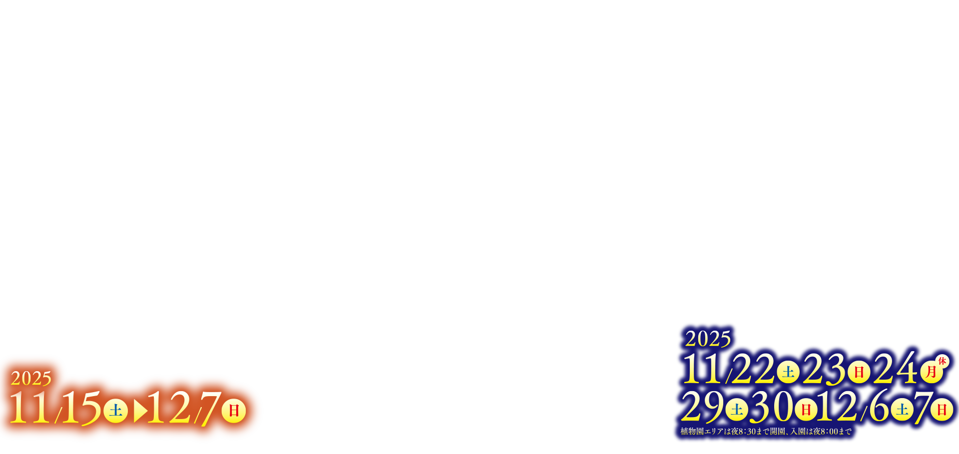 2025年年11月22日(土)、23日(日)、24日(月[休])、29日(土)、30日(日)、12月6日(土)、7日(日) 植物園エリアは夜8:30まで開園、入園は夜8:00まで／2025年11月15日（土）～12月7日（日）