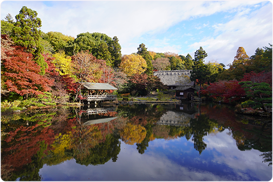 もみじ狩りのイメージ