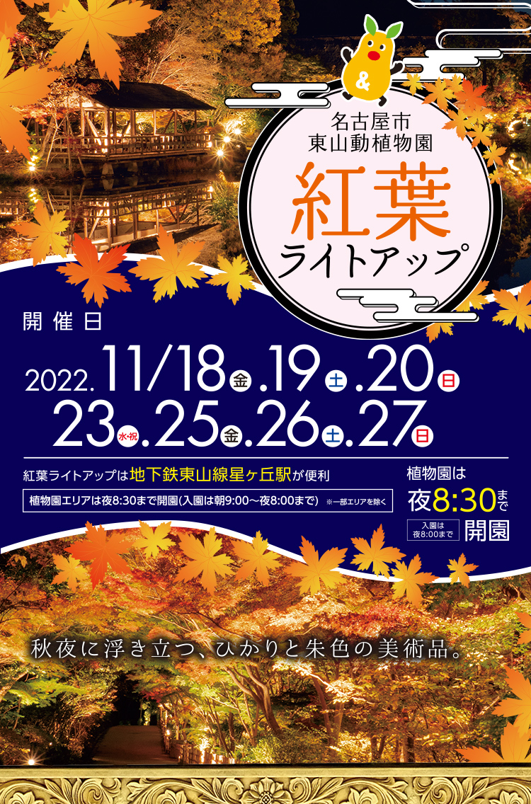東山動植物園紅葉ライトアップ 2022年11月18～19・20・23・25～27日