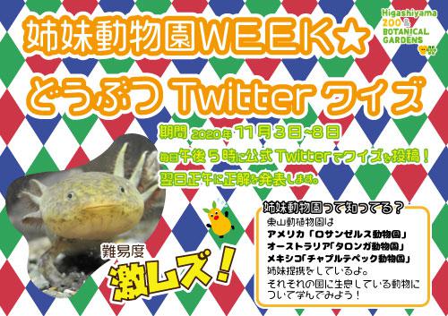 2020姉妹動物園week.jpg