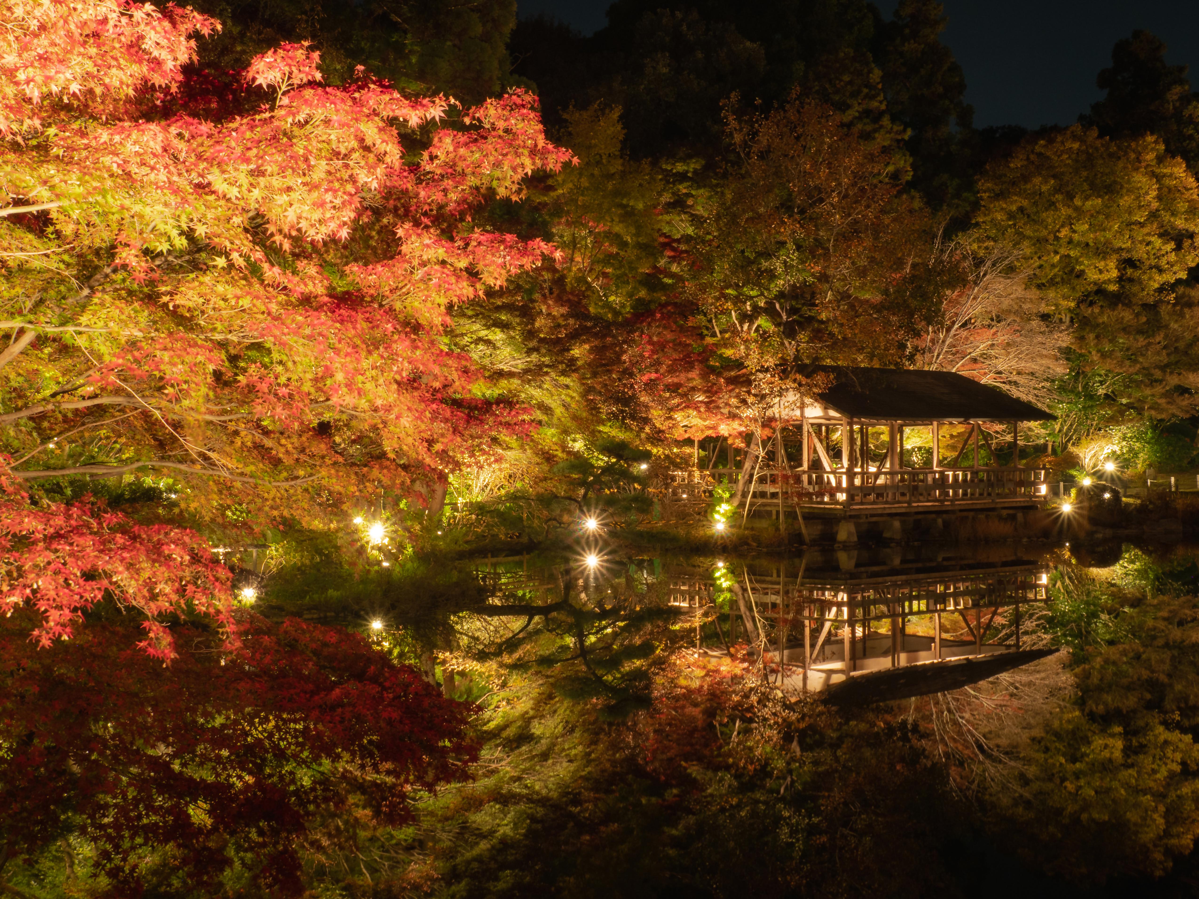 もみじ狩り 紅葉ライトアップを開催します 新着のお知らせ 東山動植物園