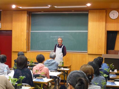 春の山野草寄せ植えをつくろう.JPG