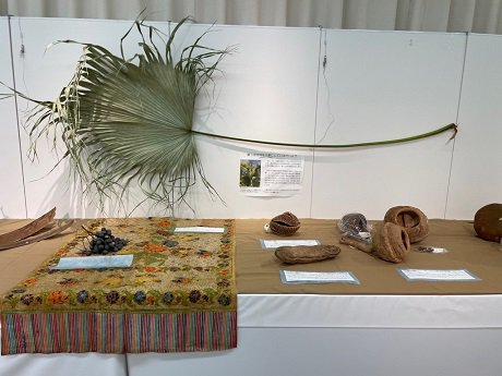 植物園コレクション展（２）.jpg