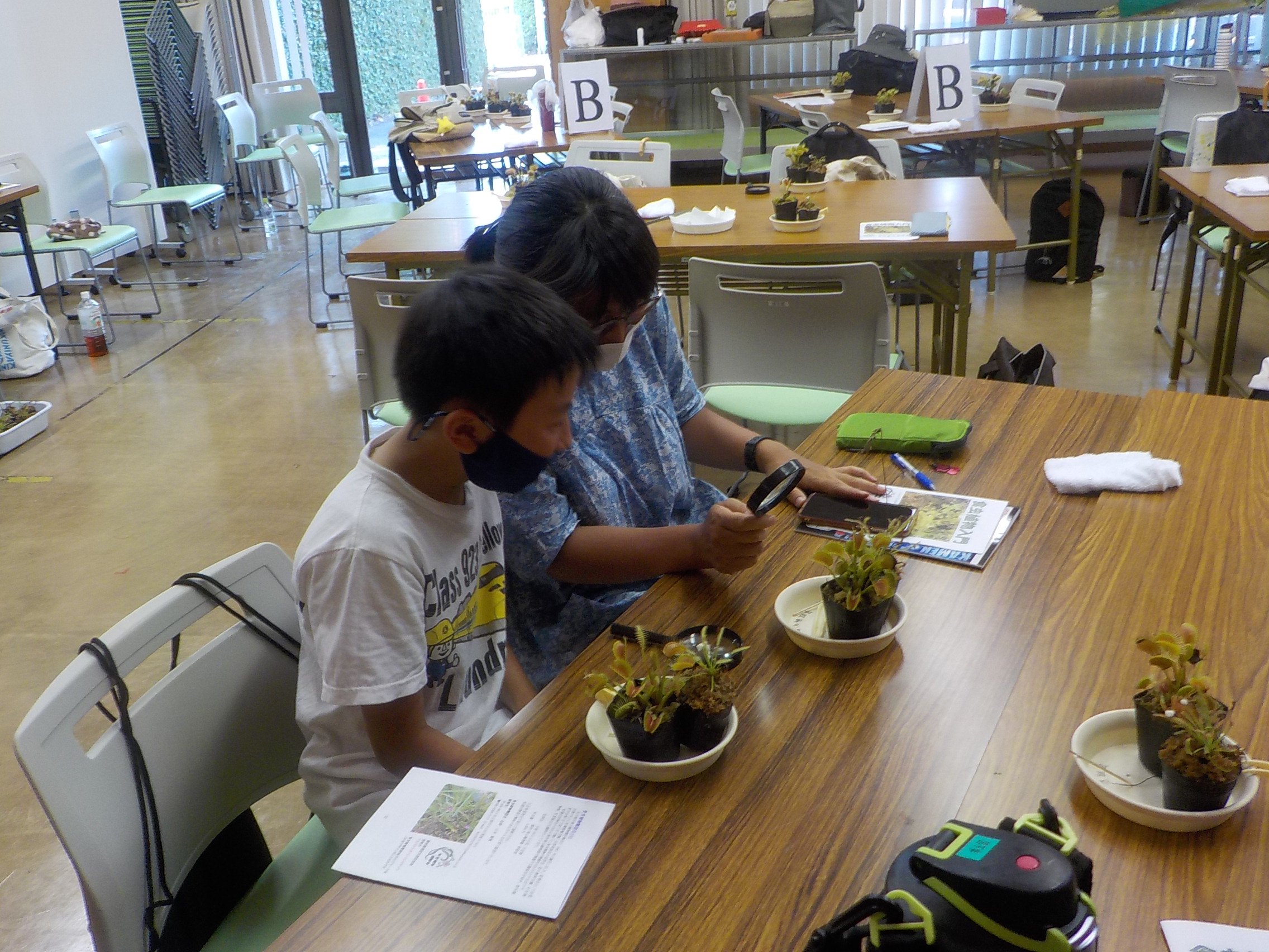 食虫植物のふしぎ.JPG