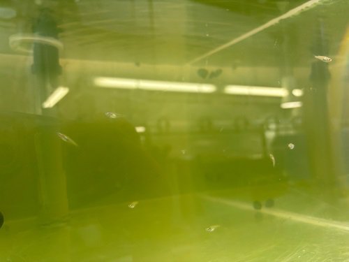〇写真３_無害化済.jpg