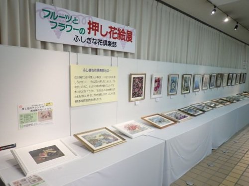 フルーツとフラワーの押し花絵（１）.JPG