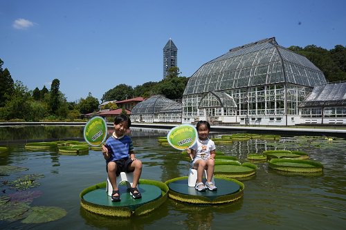 過去の様子.JPG