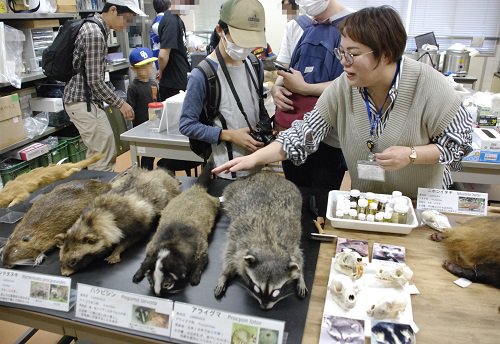 標本見学の様子(ぼかしあり).jpg