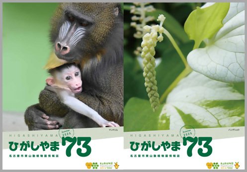 ひがしやま表紙.jpg