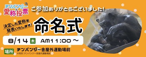 トップページバナー3(命名式：詳細はこちらなし).jpg