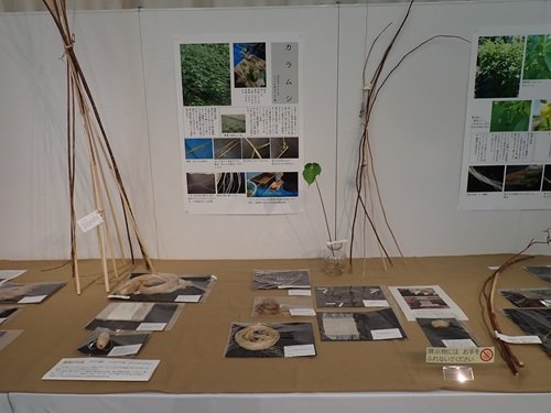 展示の様子.JPG