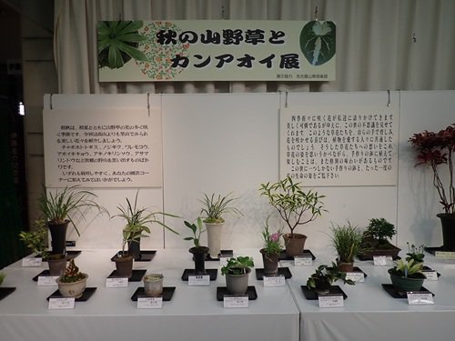 展示会の様子２.JPG