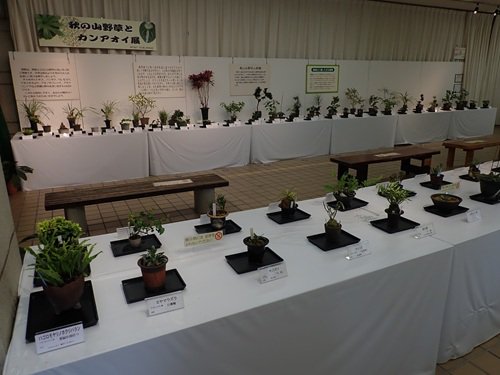 展示会の様子１.JPG