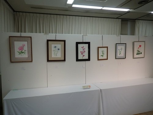 展覧会の写真２.JPG