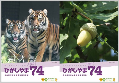 74号表紙_無害化済.jpg