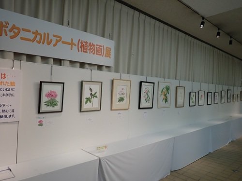 展覧会の写真１.JPG