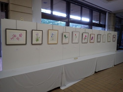 展覧会の写真３.JPG