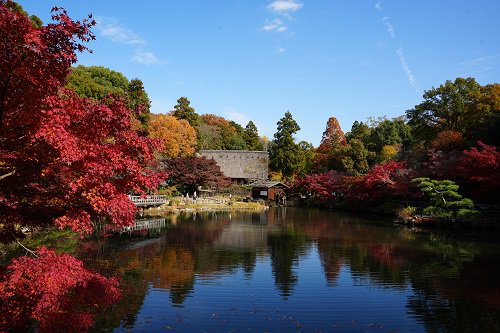 奥池の様子.JPG