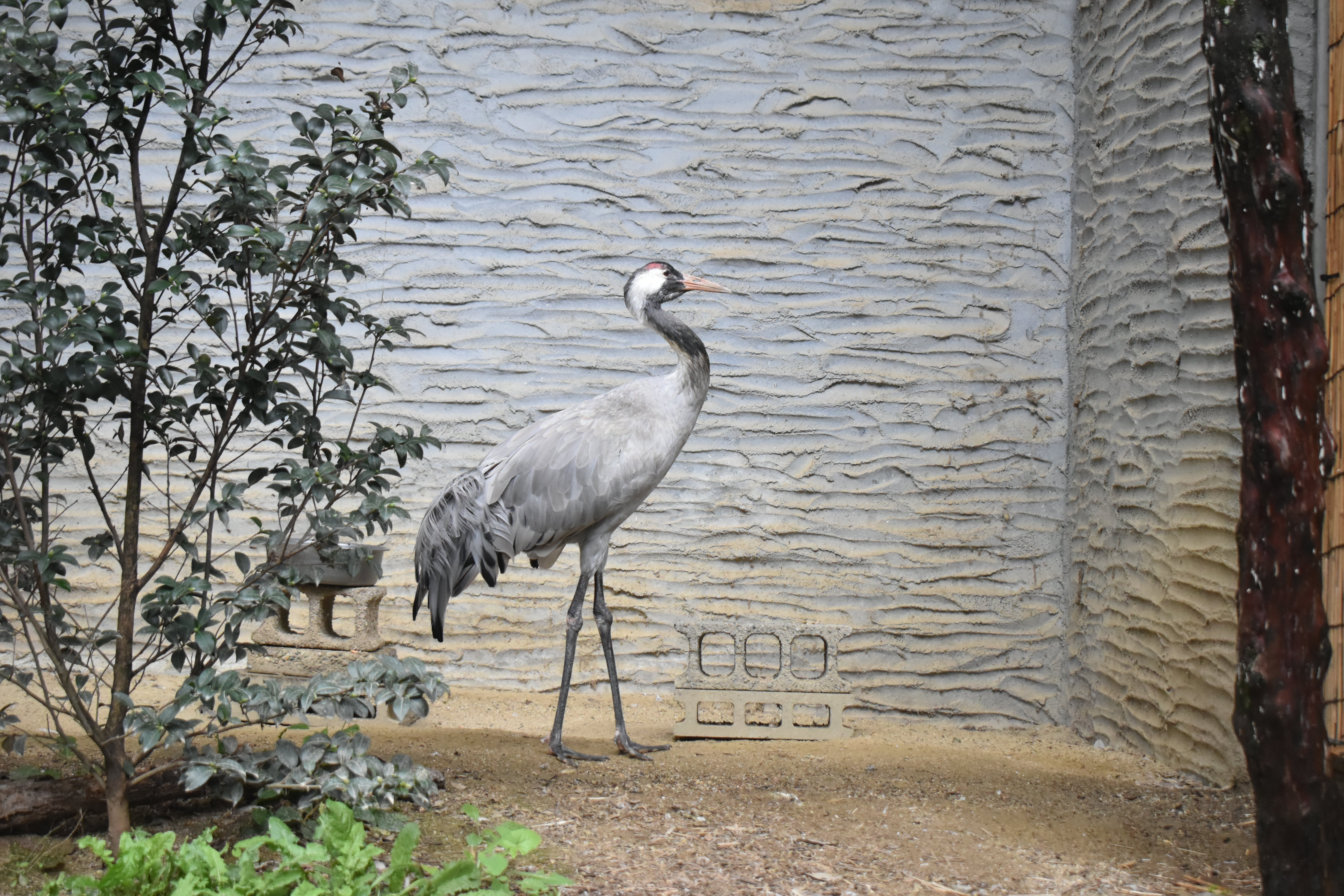 DSC_0227.JPG