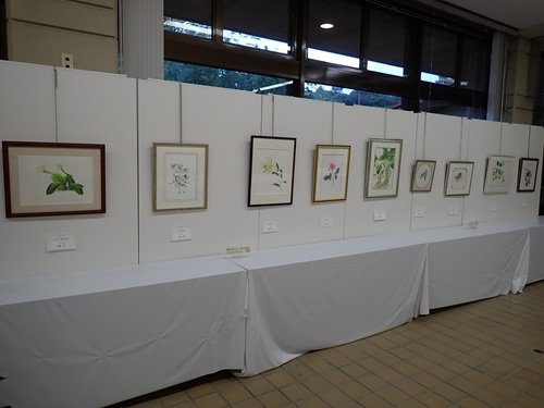 作品展の様子２.jpg