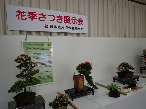 花季さつき展示会 (1).JPG