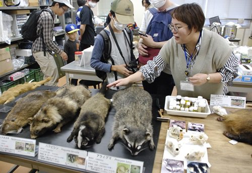 標本見学の様子(ぼかしあり).jpg