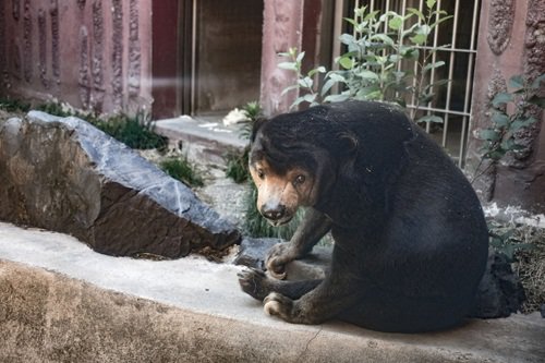 マー子(調整).jpg