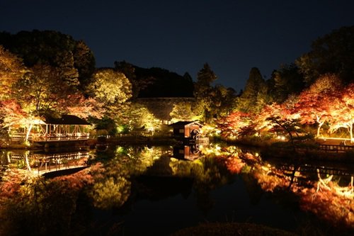 奥池の逆さもみじ（夜.JPG