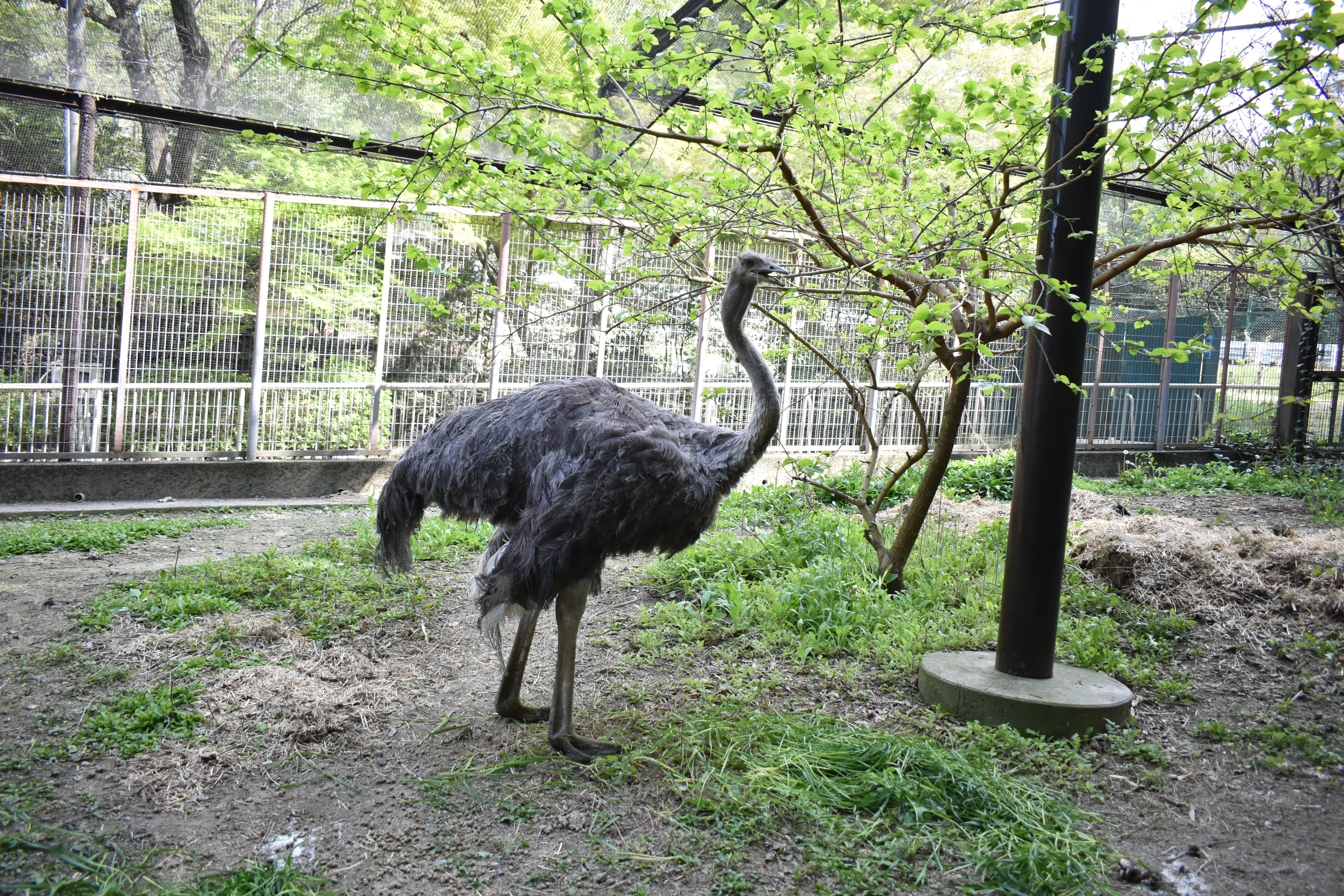 DSC_0051.JPG