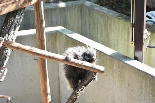DSC_0406.JPG