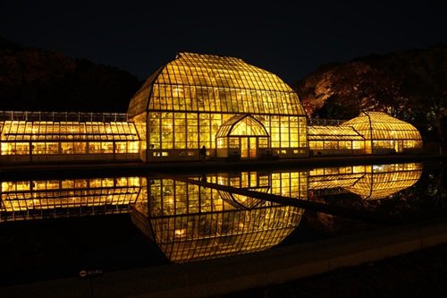温室前館（夜）.JPG