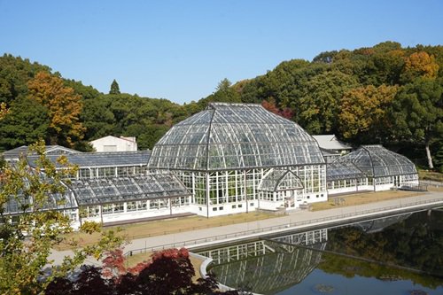 温室前館（昼）.JPG