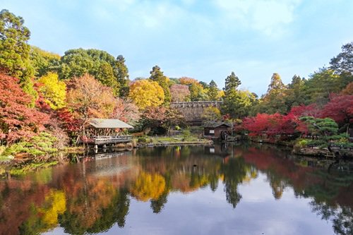 奥池の逆さもみじ(昼).jpg