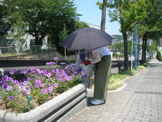 日傘をさすのも暮らしの知恵.JPG