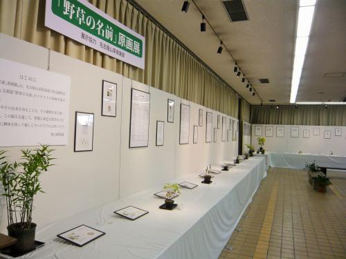 野草の名前原画展.JPG