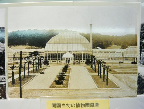 東山植物園の歴史展.JPG