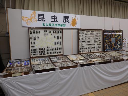 R2.7.21昆虫展.JPG