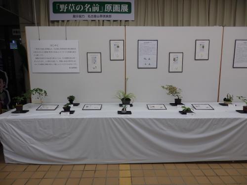 「野草の名前」原画展.JPG