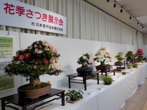 花季さつき展示会.JPG