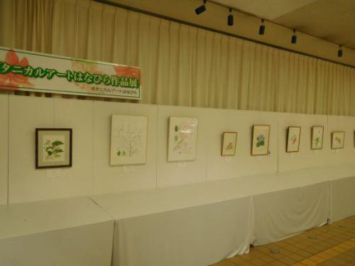ボタニカルアートはなびら作品展.JPG