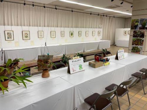 植物園コレクション展：食虫植物ボタニカルアート（２）.jpg