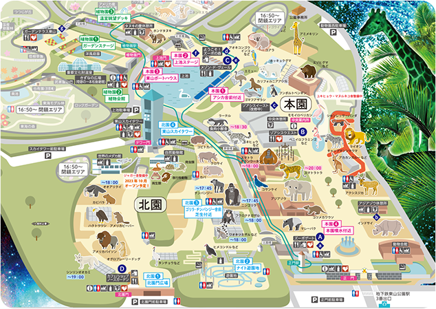 ナイトZOO&GARDEN開催期間中のイベント等の情報を記載した東山動植物園の園内MAP