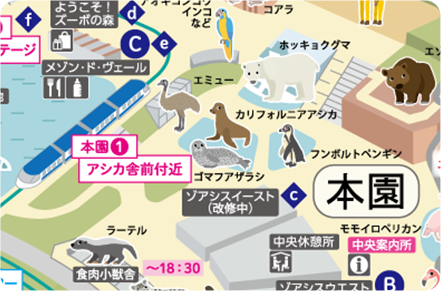 イルミネーションスポット～動物と光の世界～場所付近の東山動植物園の園内MAP