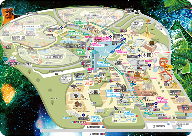 ナイトZOO&GARDEN開催期間中のイベント等の情報を記載した東山動植物園の園内MAP