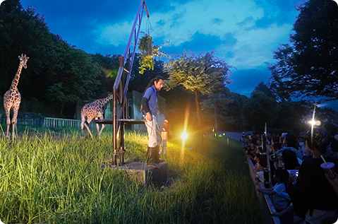 夕暮れのアニマルトークの写真