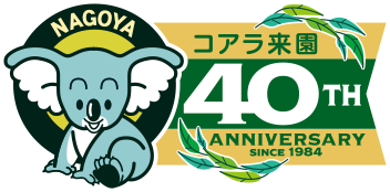 コアラ来園40周年アニバーサリー