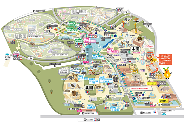 ナイトZOO&GARDEN開催期間中のイベント等の情報を記載した東山動植物園の園内MAP