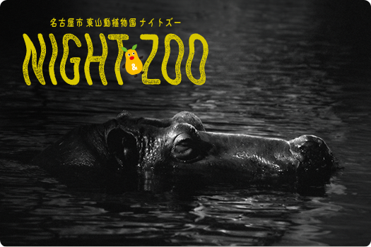 ナイトZOO 特製竹うちわプレゼントのイメージ